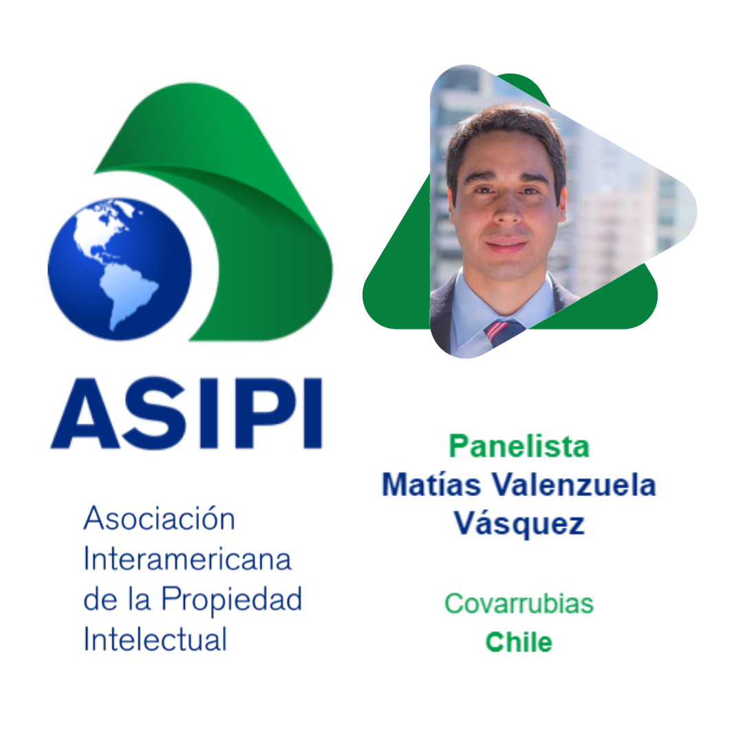 Matías Valenzuela participó como panelista invitado en el webinar Arreglo de La Haya: Perspectivas para Latinoamérica organizado por la ASIPI